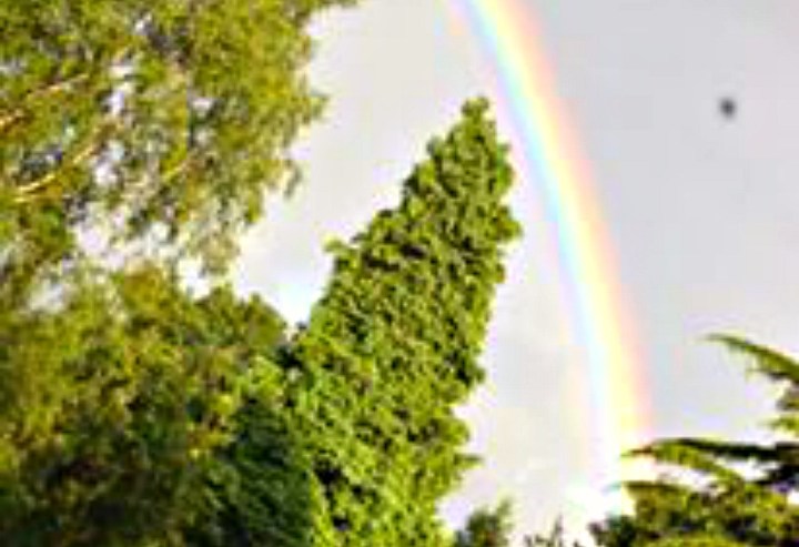 Rainbow 2