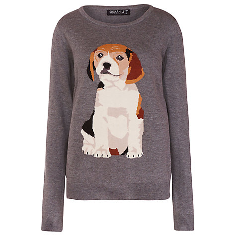 Beagle Jumper