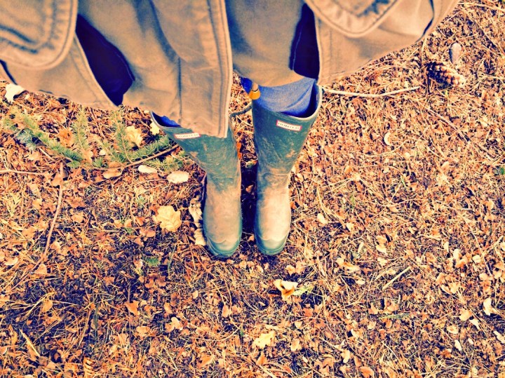 Wellies