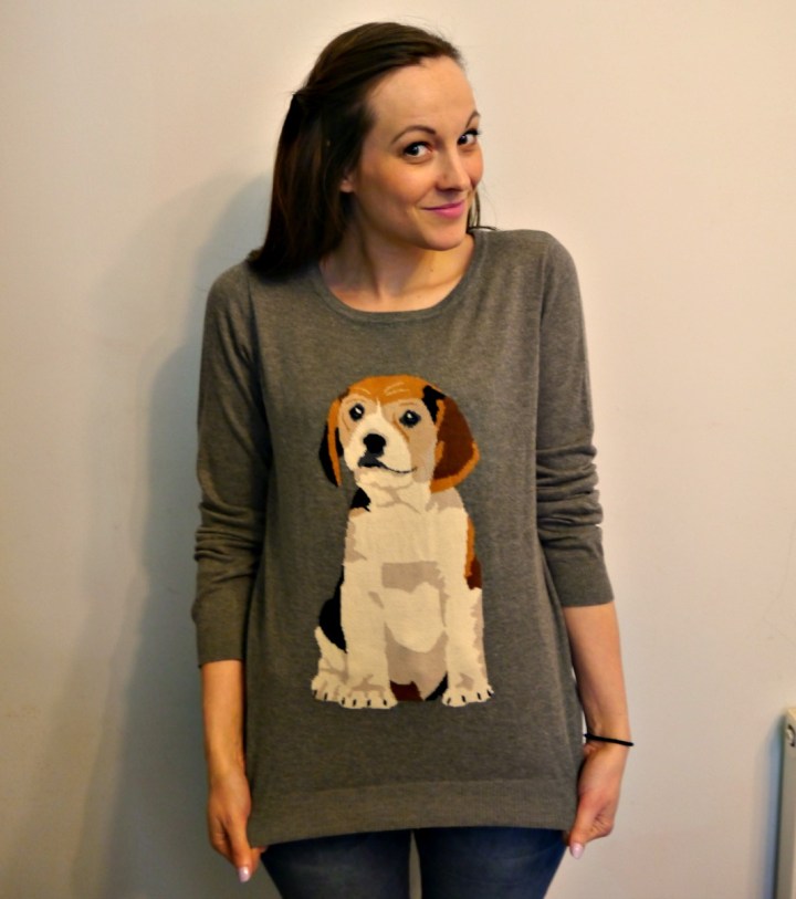 Beagle Jumper