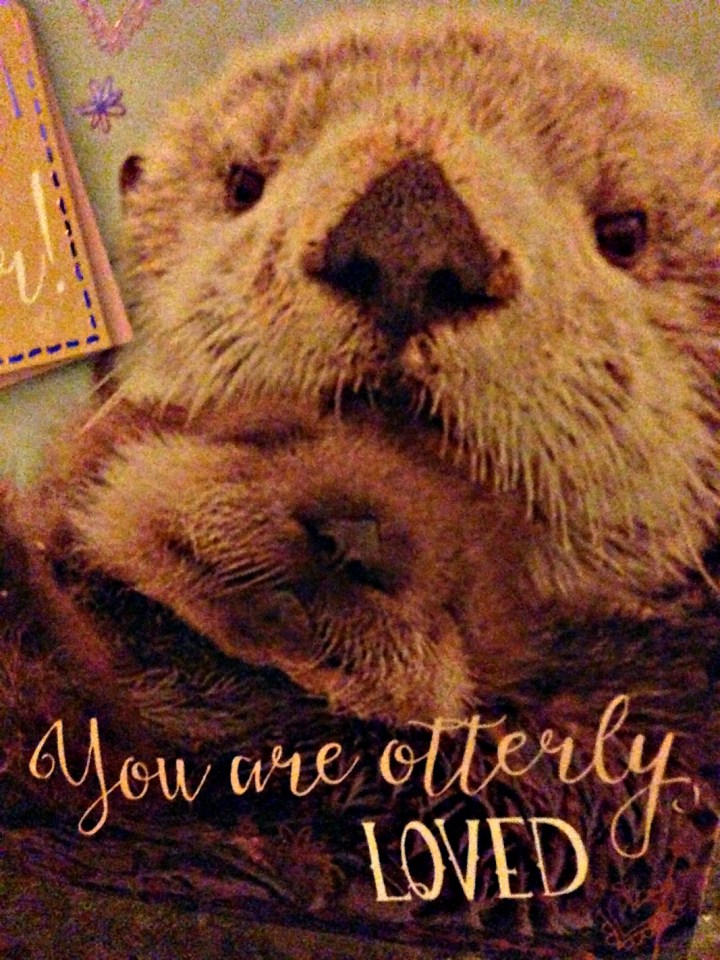 Otter.jpg