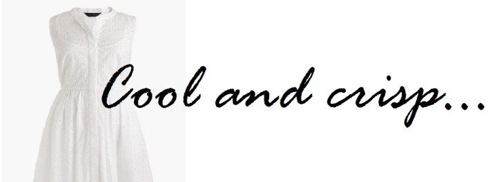 Fantasy Friday – J Crew Eyelet&nbsp;Shirtdress