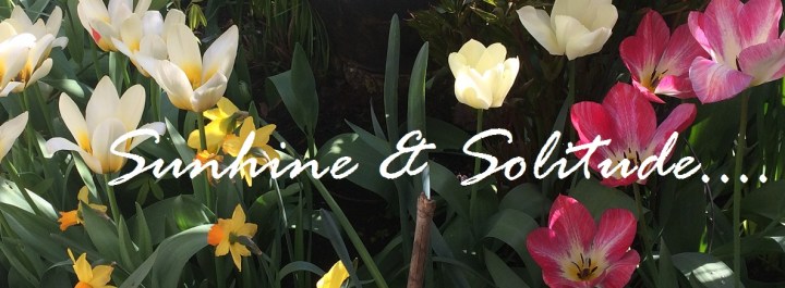 Reasons To Be Cheerful – Secret Sunny&nbsp;Days