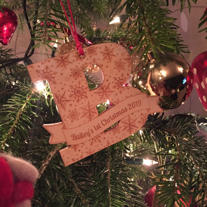 Bailey Xmas 2
